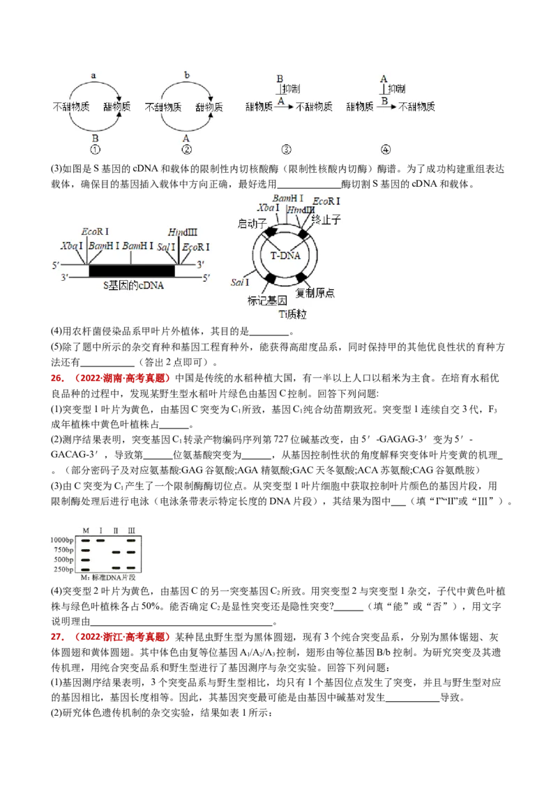 五年（2021-2025）全国高考生物真题分类汇编专题12变异、育种与进化（全国通用）（原卷版）_高考真题分类汇编_高考生物真题分类汇编（全国通用）五年（2021-2025）