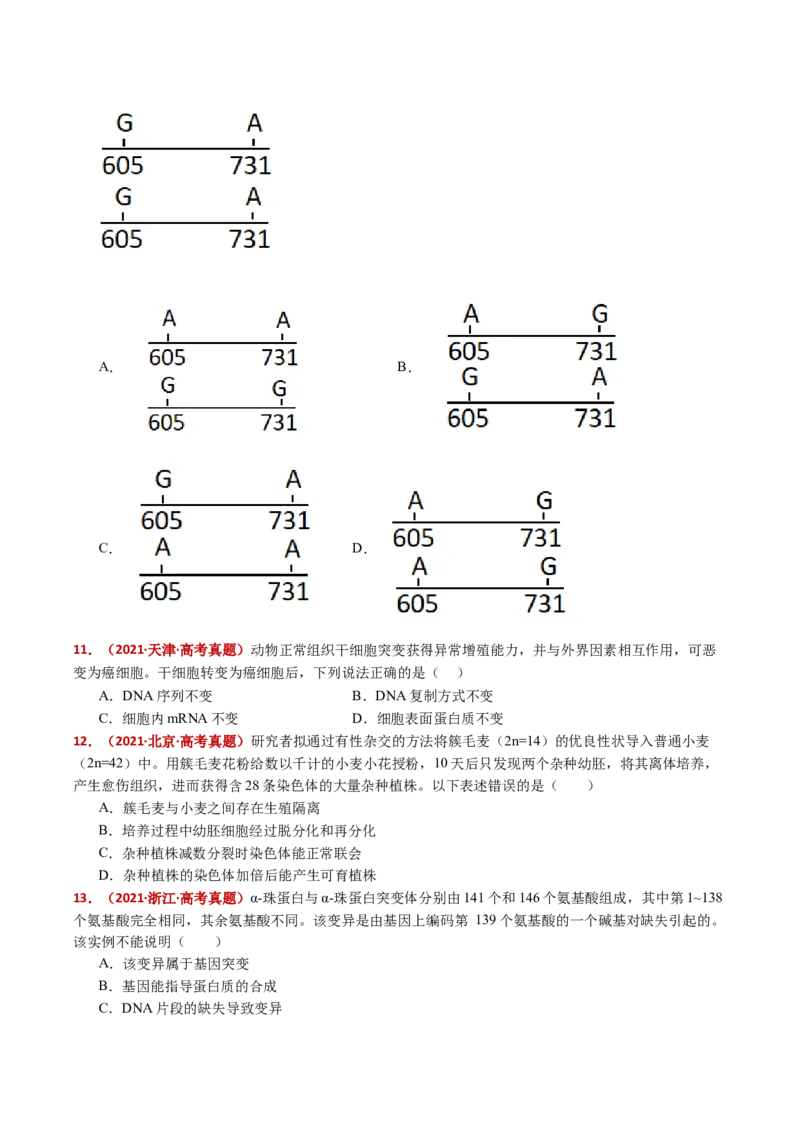 五年（2021-2025）全国高考生物真题分类汇编专题12变异、育种与进化（全国通用）（原卷版）_高考真题分类汇编_高考生物真题分类汇编（全国通用）五年（2021-2025）