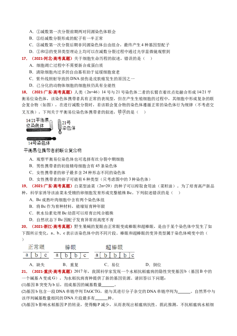 五年（2021-2025）全国高考生物真题分类汇编专题12变异、育种与进化（全国通用）（原卷版）_高考真题分类汇编_高考生物真题分类汇编（全国通用）五年（2021-2025）