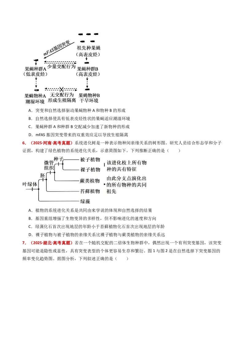 五年（2021-2025）全国高考生物真题分类汇编专题12变异、育种与进化（全国通用）（原卷版）_高考真题分类汇编_高考生物真题分类汇编（全国通用）五年（2021-2025）