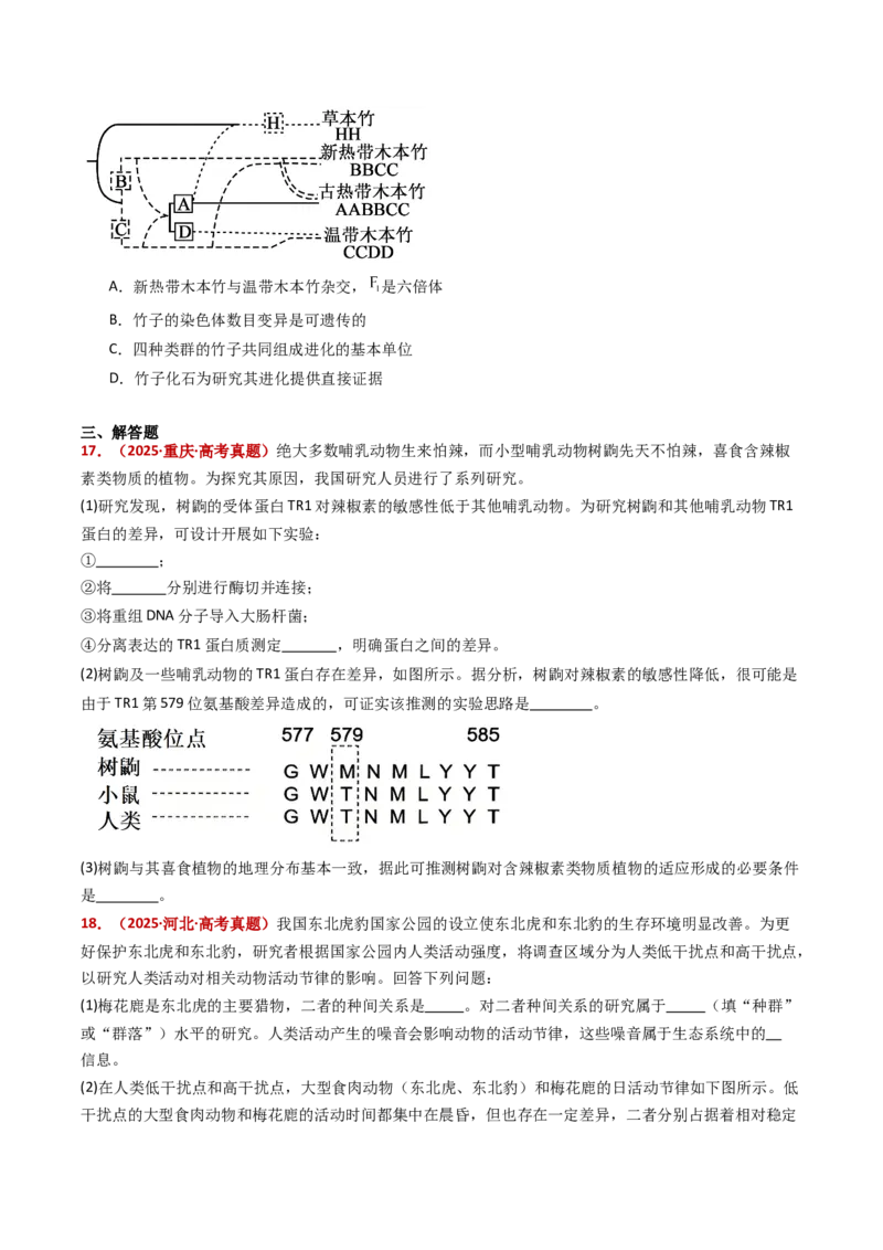 五年（2021-2025）全国高考生物真题分类汇编专题12变异、育种与进化（全国通用）（原卷版）_高考真题分类汇编_高考生物真题分类汇编（全国通用）五年（2021-2025）