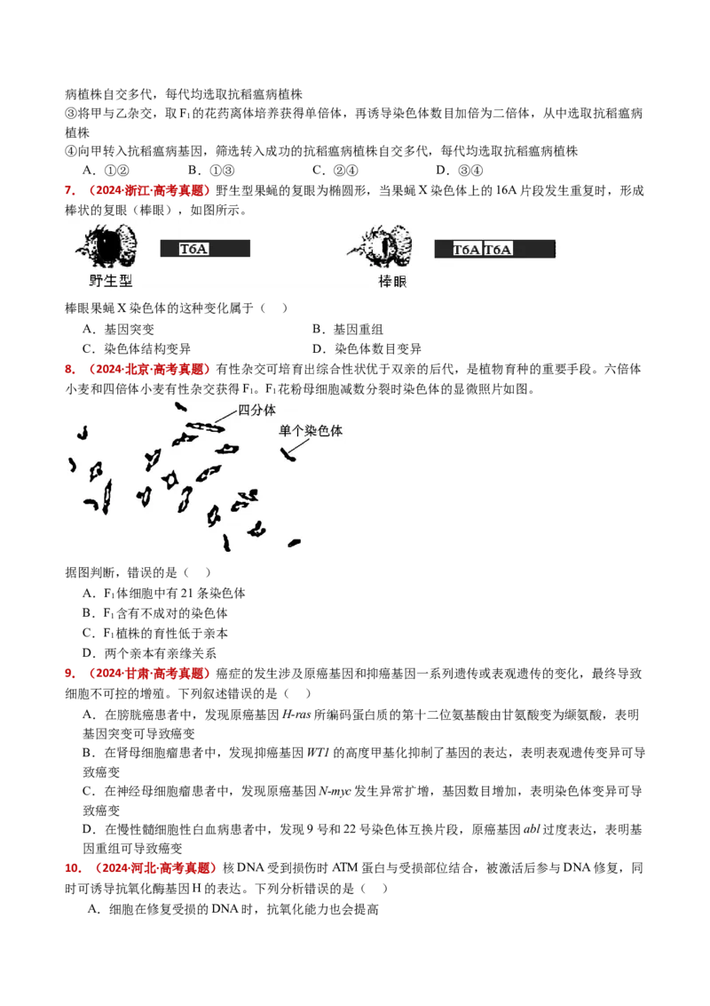 五年（2021-2025）全国高考生物真题分类汇编专题12变异、育种与进化（全国通用）（原卷版）_高考真题分类汇编_高考生物真题分类汇编（全国通用）五年（2021-2025）