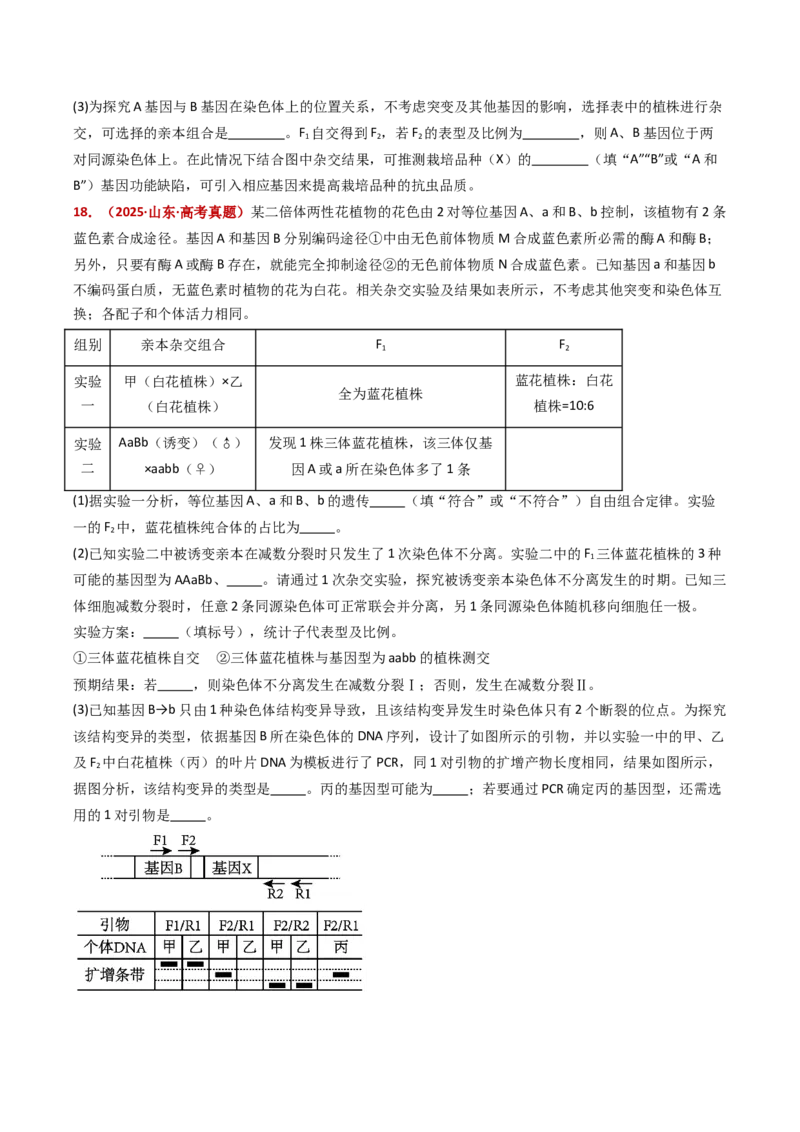 五年（2021-2025）全国高考生物真题分类汇编专题10基因的自由组合定律（全国通用）（原卷版）_高考真题分类汇编_高考生物真题分类汇编（全国通用）五年（2021-2025）