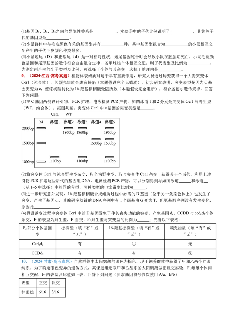 五年（2021-2025）全国高考生物真题分类汇编专题10基因的自由组合定律（全国通用）（原卷版）_高考真题分类汇编_高考生物真题分类汇编（全国通用）五年（2021-2025）