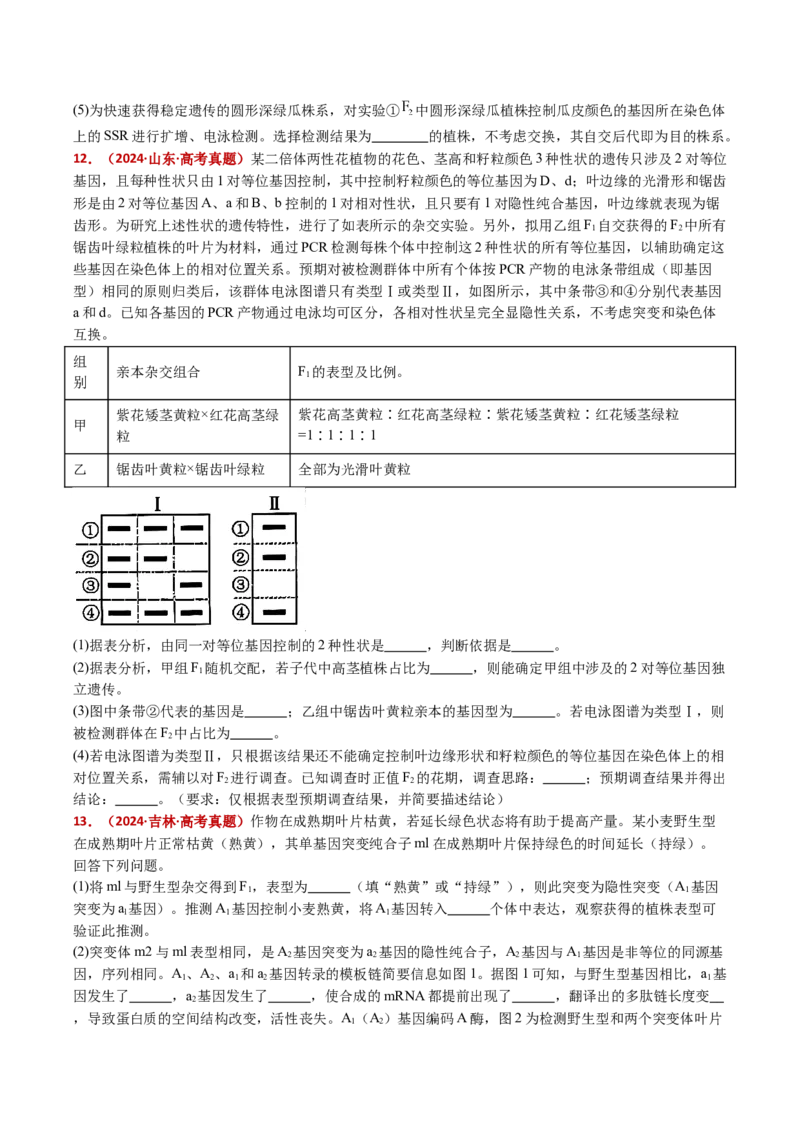 五年（2021-2025）全国高考生物真题分类汇编专题10基因的自由组合定律（全国通用）（原卷版）_高考真题分类汇编_高考生物真题分类汇编（全国通用）五年（2021-2025）