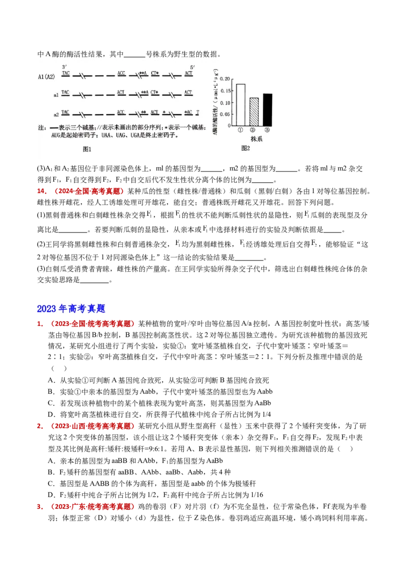 五年（2021-2025）全国高考生物真题分类汇编专题10基因的自由组合定律（全国通用）（原卷版）_高考真题分类汇编_高考生物真题分类汇编（全国通用）五年（2021-2025）