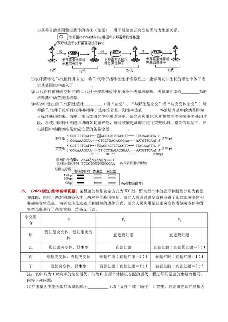 五年（2021-2025）全国高考生物真题分类汇编专题10基因的自由组合定律（全国通用）（原卷版）_高考真题分类汇编_高考生物真题分类汇编（全国通用）五年（2021-2025）