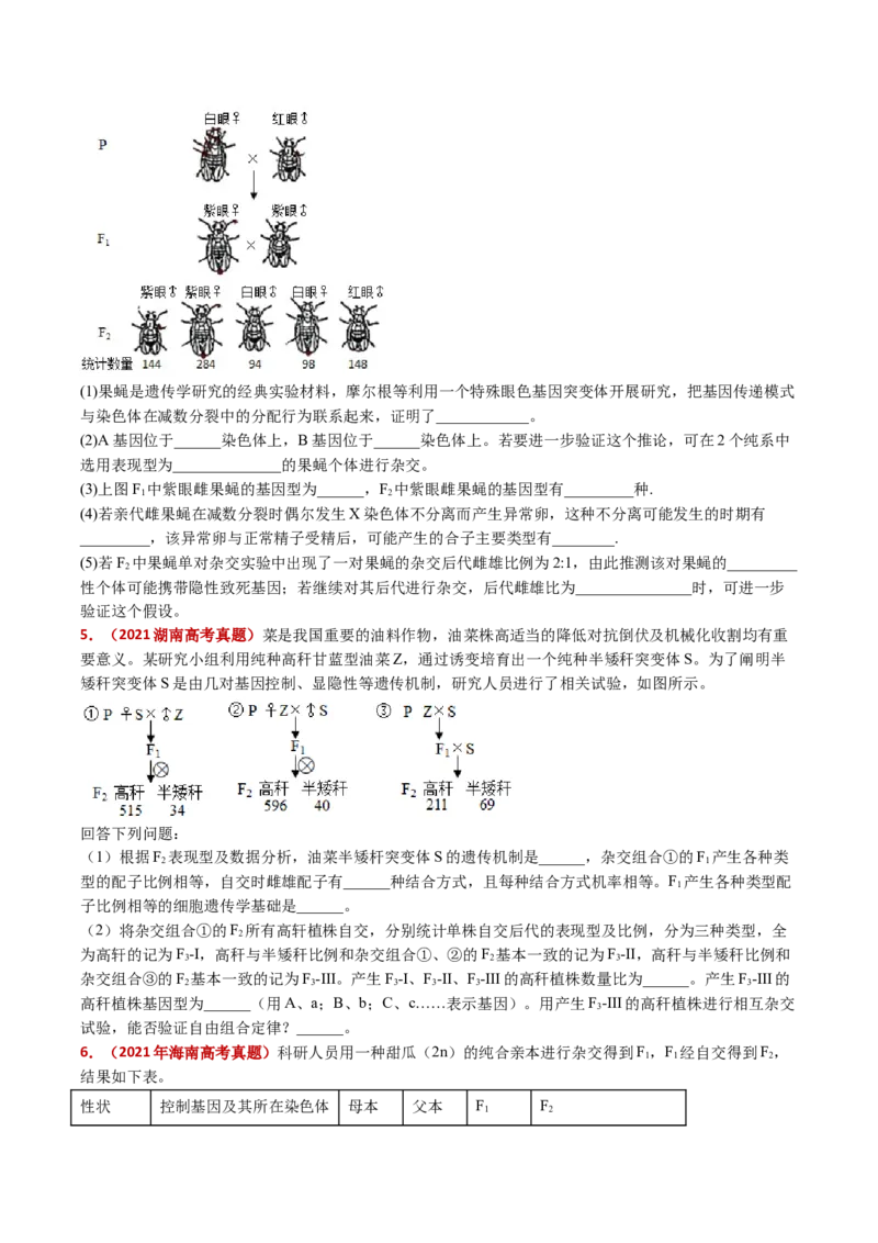 五年（2021-2025）全国高考生物真题分类汇编专题10基因的自由组合定律（全国通用）（原卷版）_高考真题分类汇编_高考生物真题分类汇编（全国通用）五年（2021-2025）