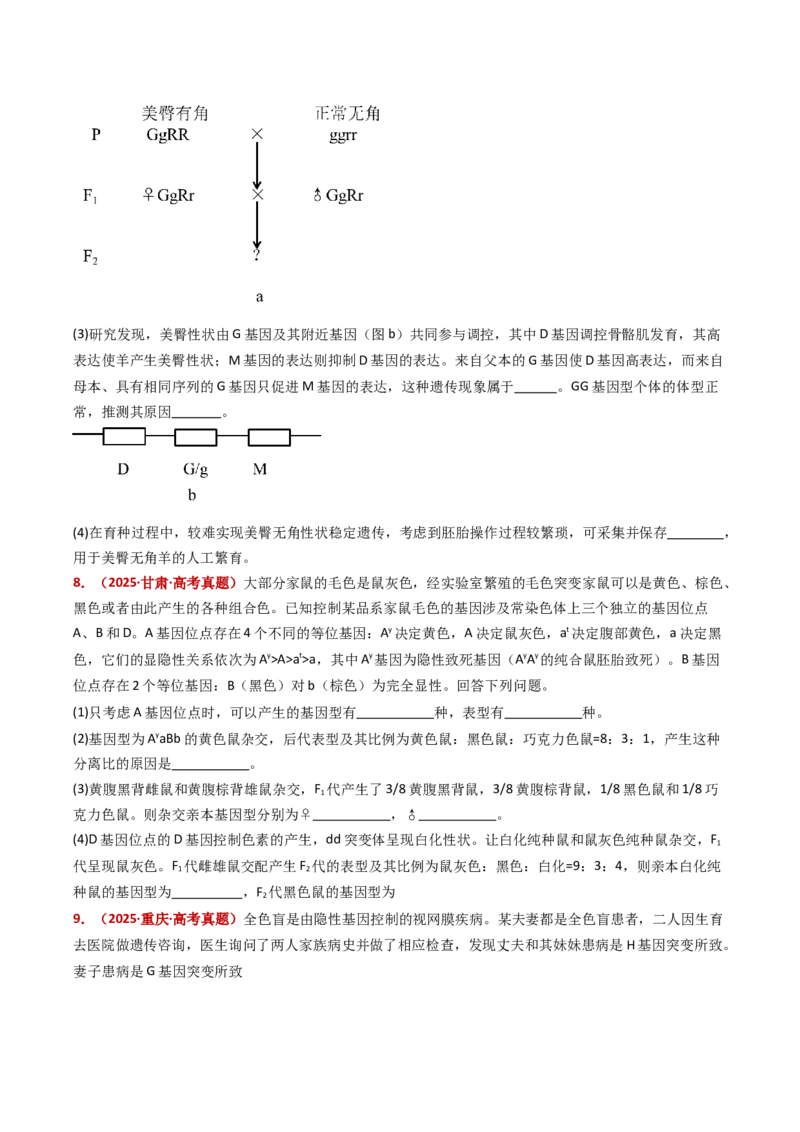 五年（2021-2025）全国高考生物真题分类汇编专题10基因的自由组合定律（全国通用）（原卷版）_高考真题分类汇编_高考生物真题分类汇编（全国通用）五年（2021-2025）
