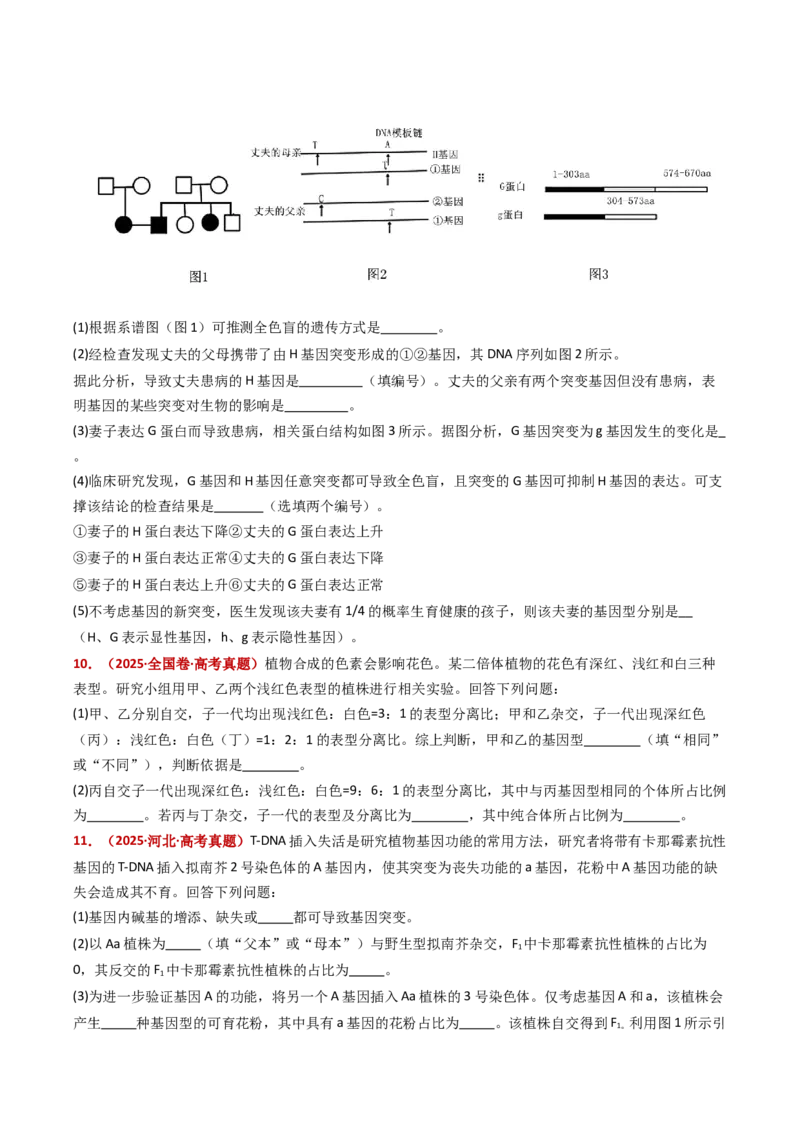 五年（2021-2025）全国高考生物真题分类汇编专题10基因的自由组合定律（全国通用）（原卷版）_高考真题分类汇编_高考生物真题分类汇编（全国通用）五年（2021-2025）