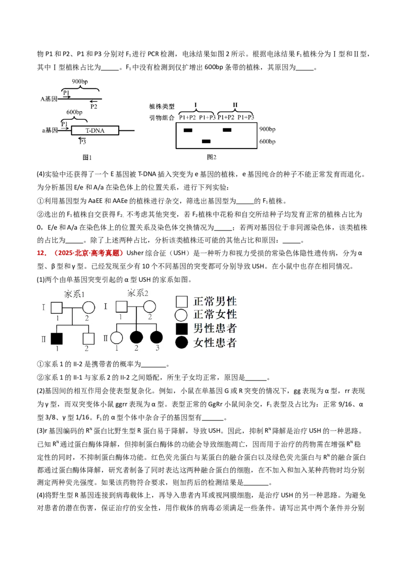 五年（2021-2025）全国高考生物真题分类汇编专题10基因的自由组合定律（全国通用）（原卷版）_高考真题分类汇编_高考生物真题分类汇编（全国通用）五年（2021-2025）