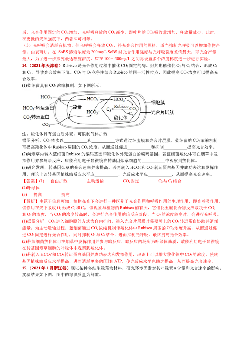 五年（2021-2025）全国高考生物真题分类汇编专题05细胞呼吸和光合作用（全国通用）（解析版）_高考真题分类汇编_高考生物真题分类汇编（全国通用）五年（2021-2025）