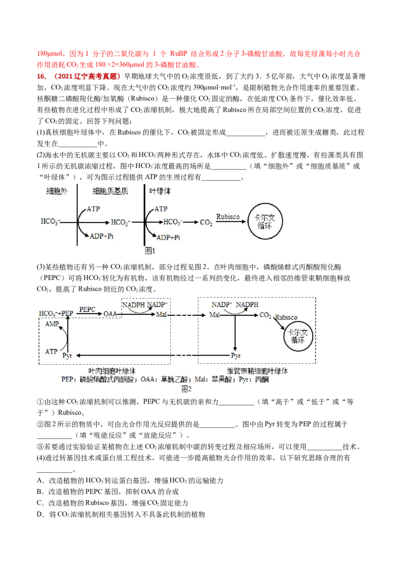 五年（2021-2025）全国高考生物真题分类汇编专题05细胞呼吸和光合作用（全国通用）（解析版）_高考真题分类汇编_高考生物真题分类汇编（全国通用）五年（2021-2025）