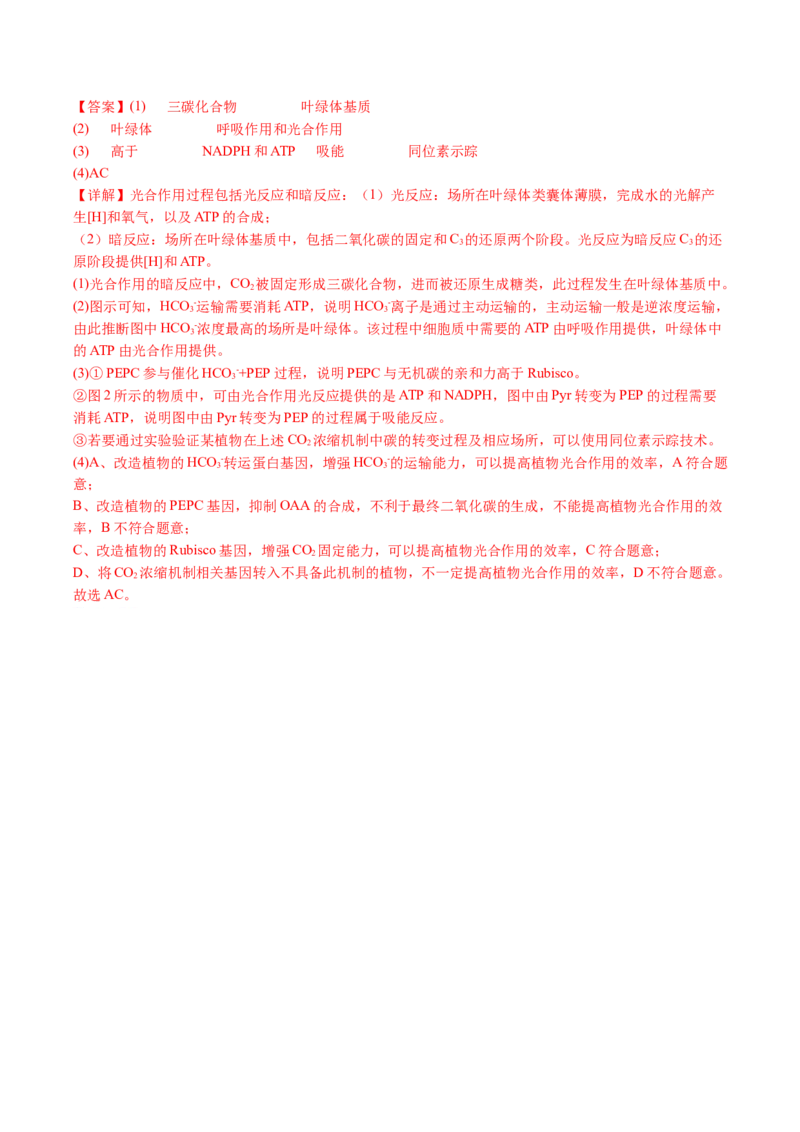 五年（2021-2025）全国高考生物真题分类汇编专题05细胞呼吸和光合作用（全国通用）（解析版）_高考真题分类汇编_高考生物真题分类汇编（全国通用）五年（2021-2025）