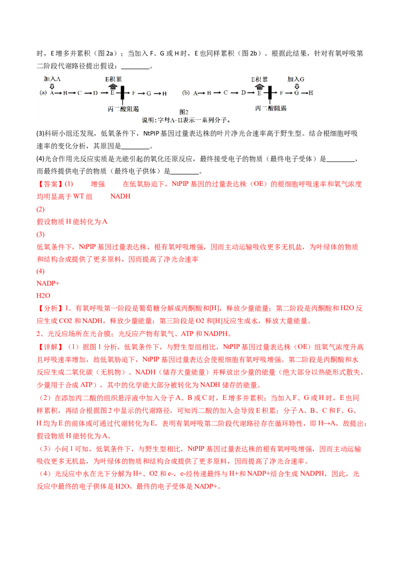 五年（2021-2025）全国高考生物真题分类汇编专题05细胞呼吸和光合作用（全国通用）（解析版）_高考真题分类汇编_高考生物真题分类汇编（全国通用）五年（2021-2025）