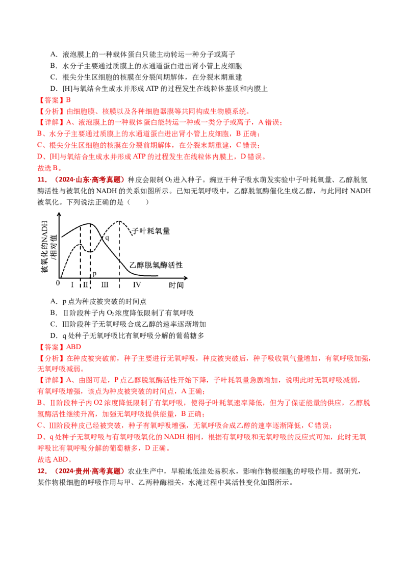 五年（2021-2025）全国高考生物真题分类汇编专题05细胞呼吸和光合作用（全国通用）（解析版）_高考真题分类汇编_高考生物真题分类汇编（全国通用）五年（2021-2025）