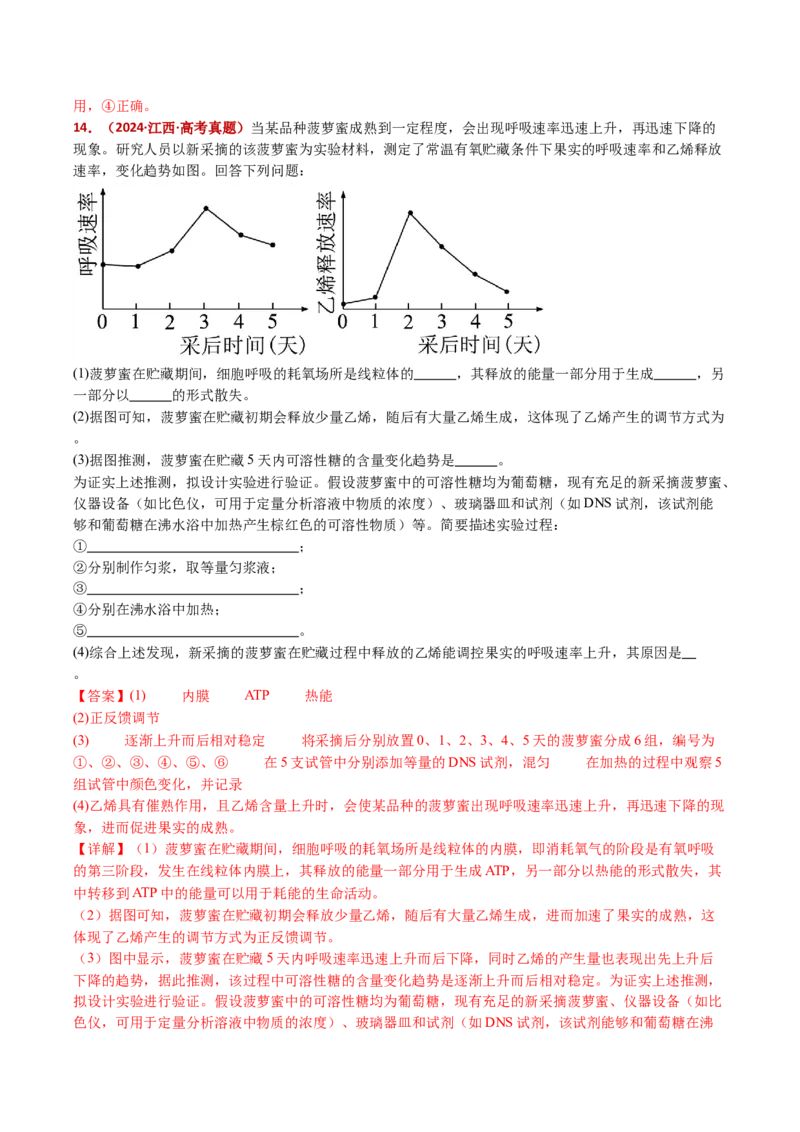 五年（2021-2025）全国高考生物真题分类汇编专题05细胞呼吸和光合作用（全国通用）（解析版）_高考真题分类汇编_高考生物真题分类汇编（全国通用）五年（2021-2025）