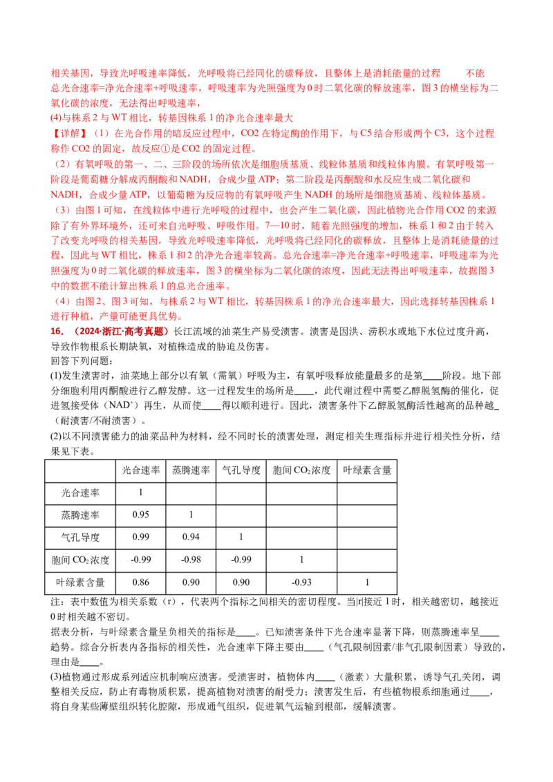 五年（2021-2025）全国高考生物真题分类汇编专题05细胞呼吸和光合作用（全国通用）（解析版）_高考真题分类汇编_高考生物真题分类汇编（全国通用）五年（2021-2025）