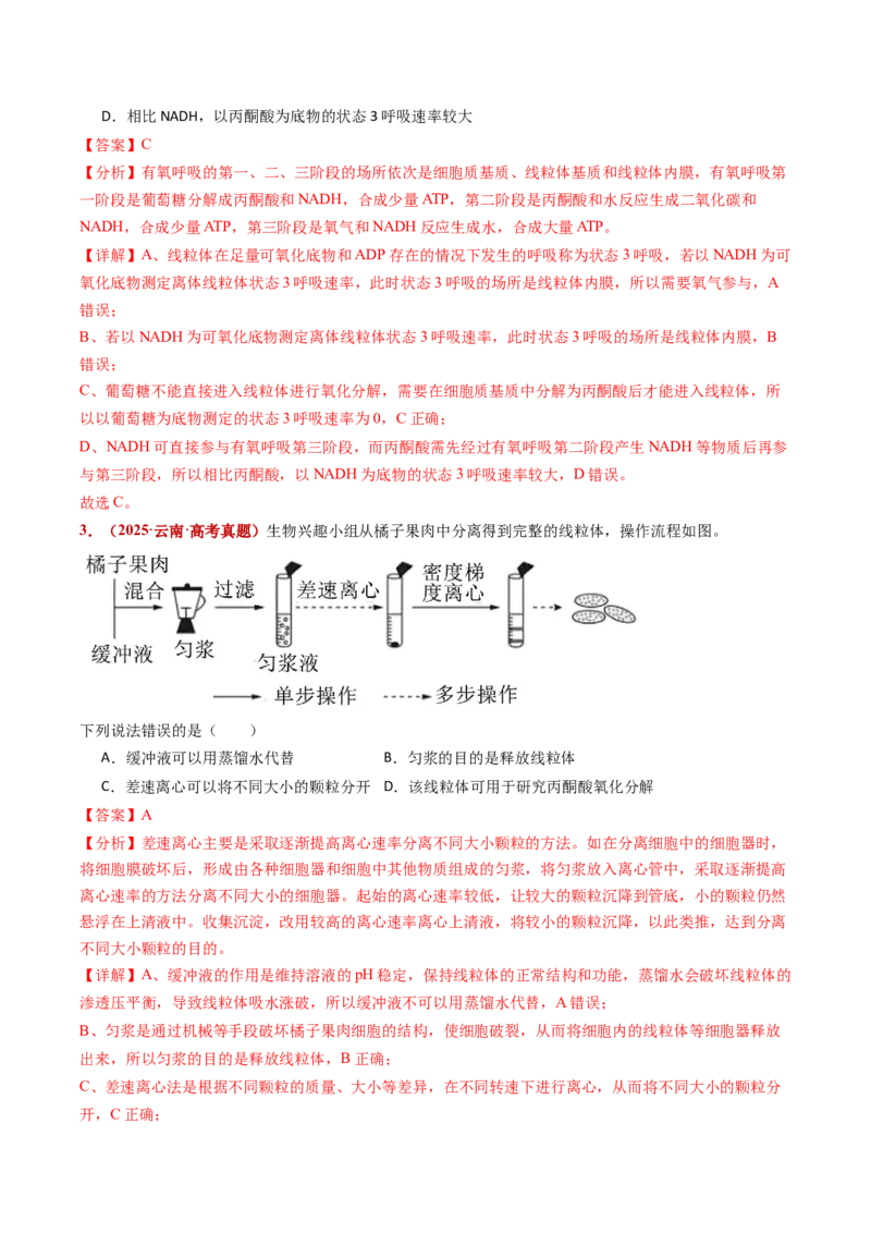五年（2021-2025）全国高考生物真题分类汇编专题05细胞呼吸和光合作用（全国通用）（解析版）_高考真题分类汇编_高考生物真题分类汇编（全国通用）五年（2021-2025）