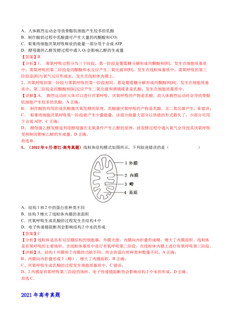 五年（2021-2025）全国高考生物真题分类汇编专题05细胞呼吸和光合作用（全国通用）（解析版）_高考真题分类汇编_高考生物真题分类汇编（全国通用）五年（2021-2025）