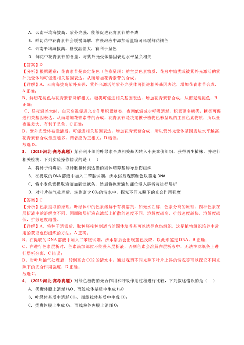 五年（2021-2025）全国高考生物真题分类汇编专题05细胞呼吸和光合作用（全国通用）（解析版）_高考真题分类汇编_高考生物真题分类汇编（全国通用）五年（2021-2025）