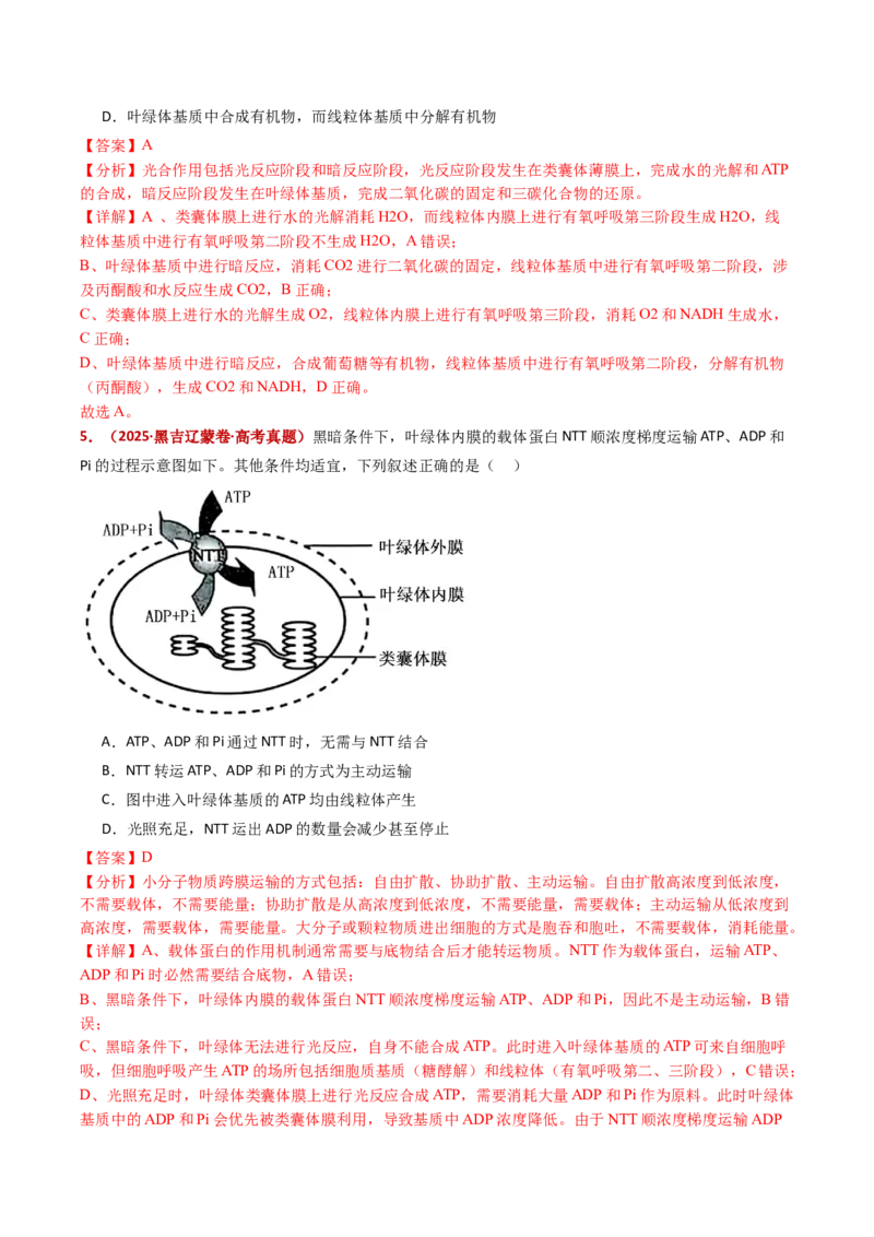 五年（2021-2025）全国高考生物真题分类汇编专题05细胞呼吸和光合作用（全国通用）（解析版）_高考真题分类汇编_高考生物真题分类汇编（全国通用）五年（2021-2025）