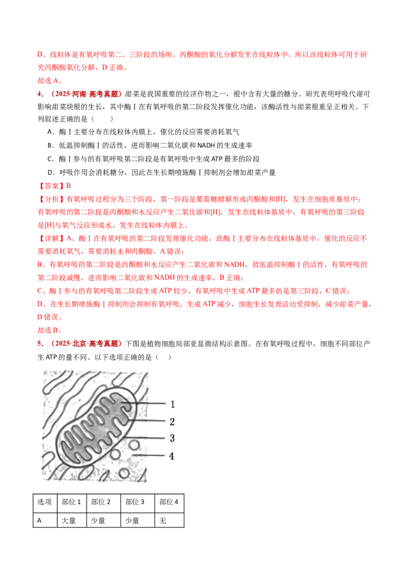 五年（2021-2025）全国高考生物真题分类汇编专题05细胞呼吸和光合作用（全国通用）（解析版）_高考真题分类汇编_高考生物真题分类汇编（全国通用）五年（2021-2025）