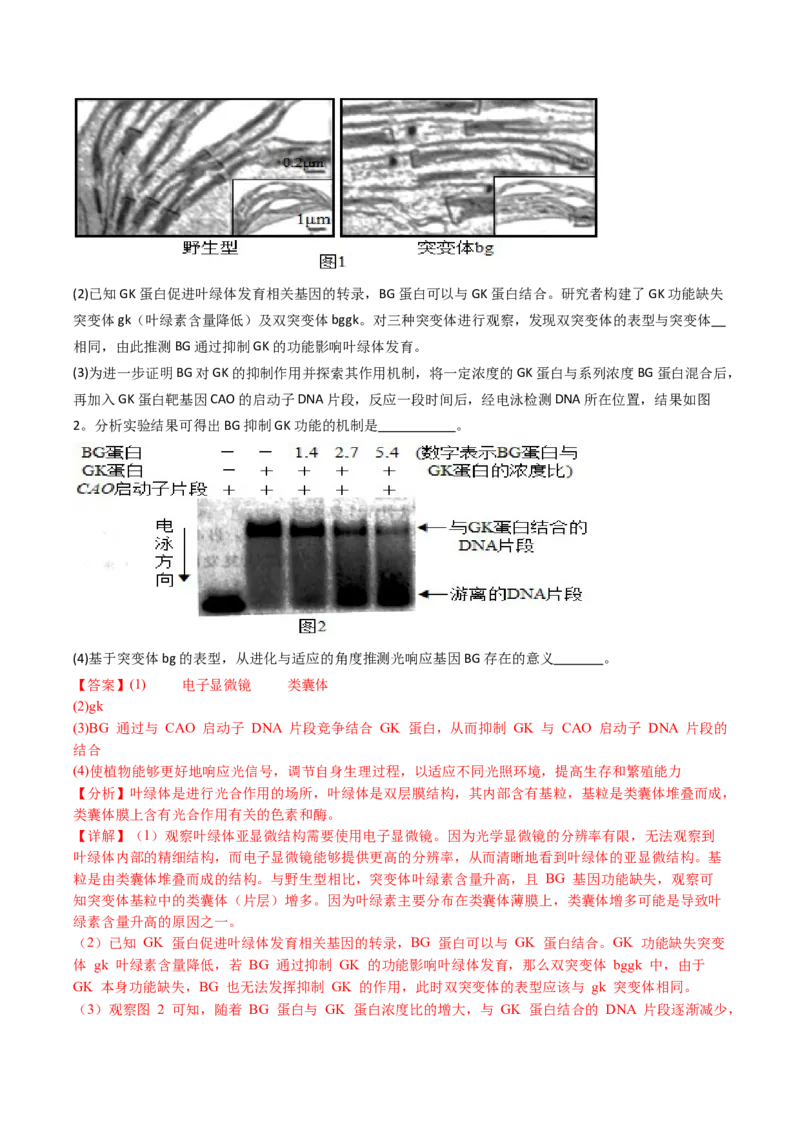 五年（2021-2025）全国高考生物真题分类汇编专题05细胞呼吸和光合作用（全国通用）（解析版）_高考真题分类汇编_高考生物真题分类汇编（全国通用）五年（2021-2025）