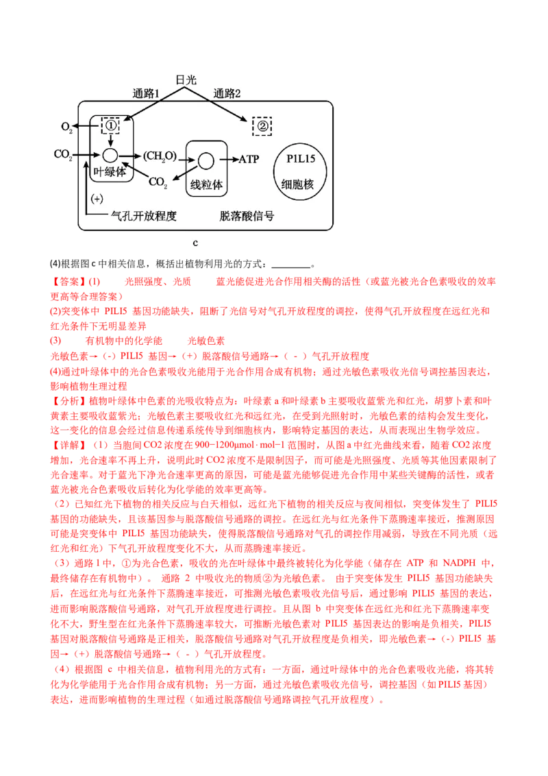 五年（2021-2025）全国高考生物真题分类汇编专题05细胞呼吸和光合作用（全国通用）（解析版）_高考真题分类汇编_高考生物真题分类汇编（全国通用）五年（2021-2025）