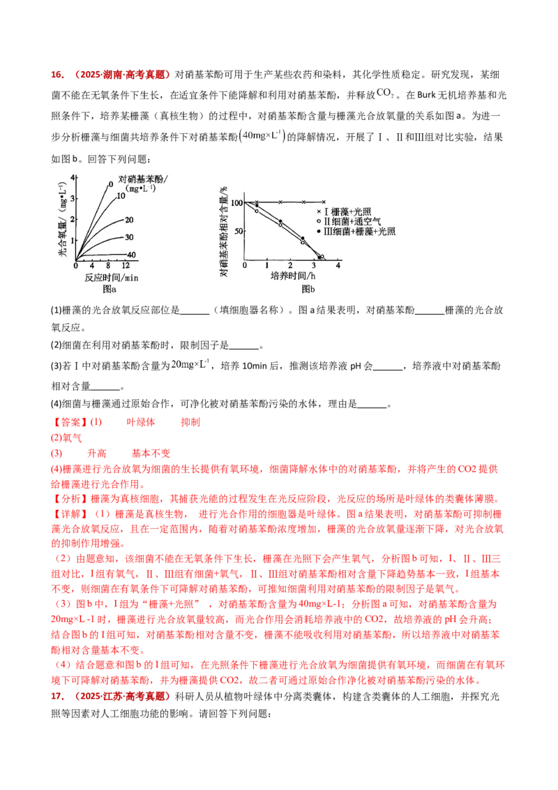 五年（2021-2025）全国高考生物真题分类汇编专题05细胞呼吸和光合作用（全国通用）（解析版）_高考真题分类汇编_高考生物真题分类汇编（全国通用）五年（2021-2025）