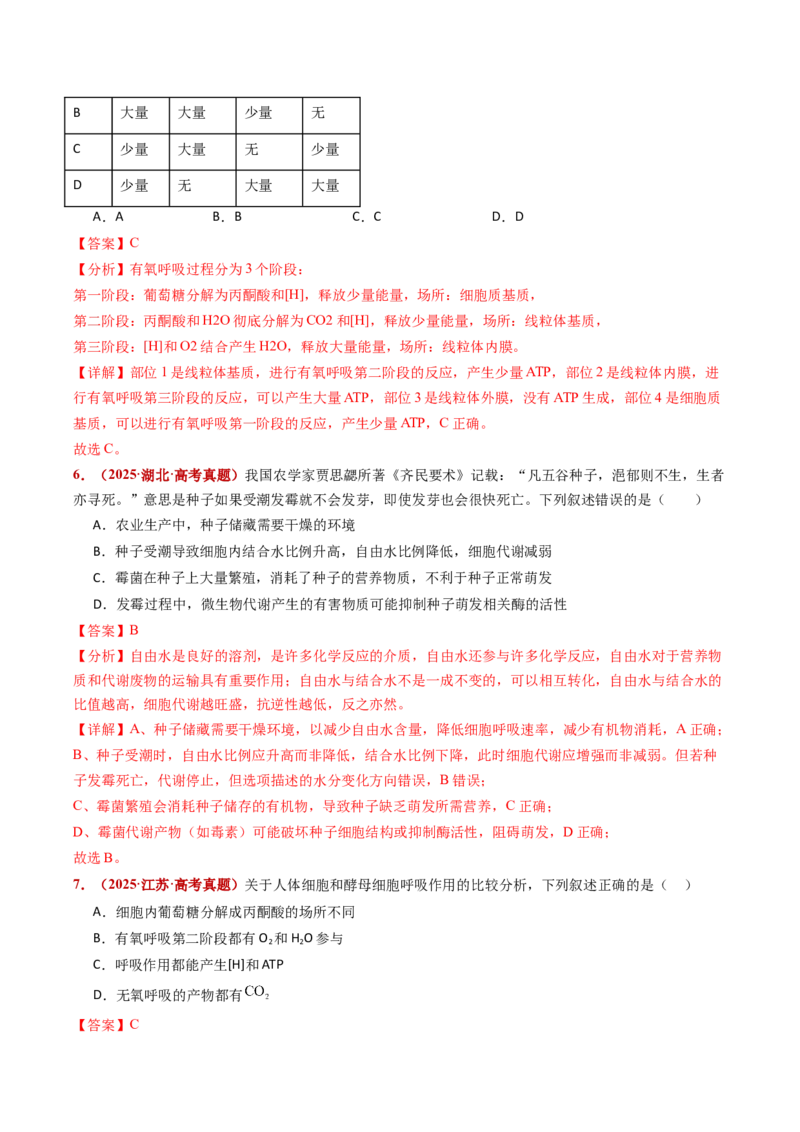 五年（2021-2025）全国高考生物真题分类汇编专题05细胞呼吸和光合作用（全国通用）（解析版）_高考真题分类汇编_高考生物真题分类汇编（全国通用）五年（2021-2025）