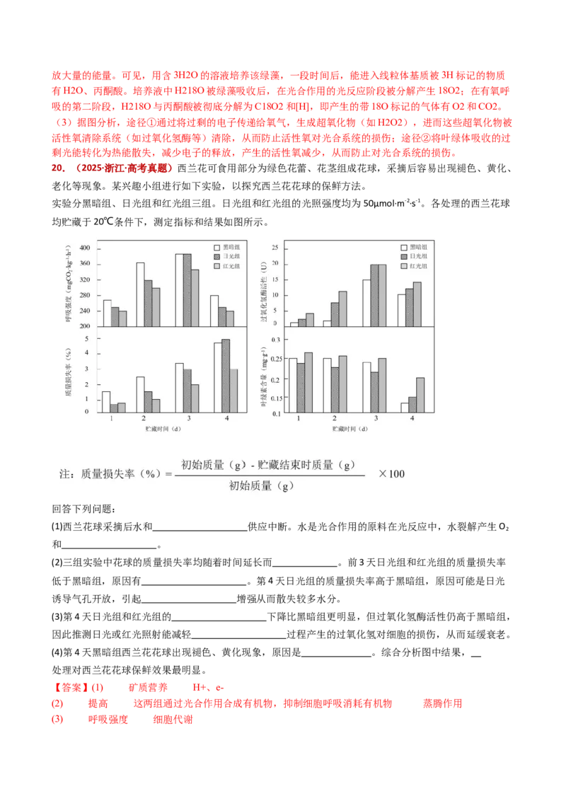 五年（2021-2025）全国高考生物真题分类汇编专题05细胞呼吸和光合作用（全国通用）（解析版）_高考真题分类汇编_高考生物真题分类汇编（全国通用）五年（2021-2025）