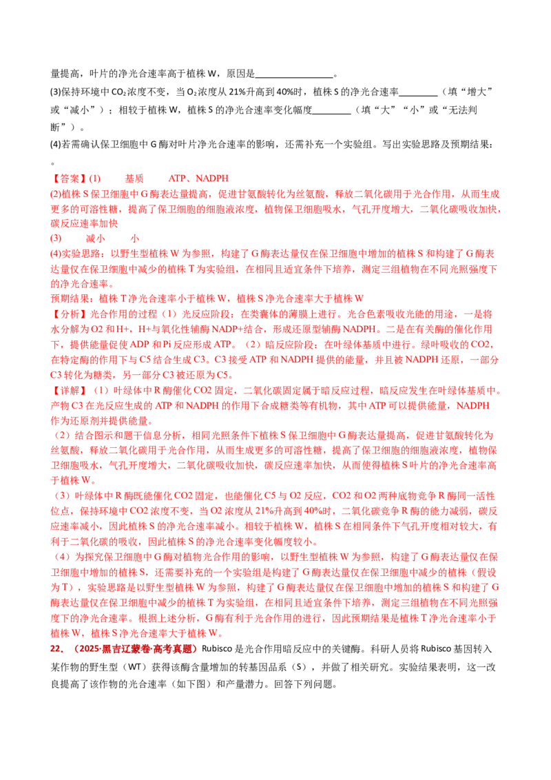 五年（2021-2025）全国高考生物真题分类汇编专题05细胞呼吸和光合作用（全国通用）（解析版）_高考真题分类汇编_高考生物真题分类汇编（全国通用）五年（2021-2025）