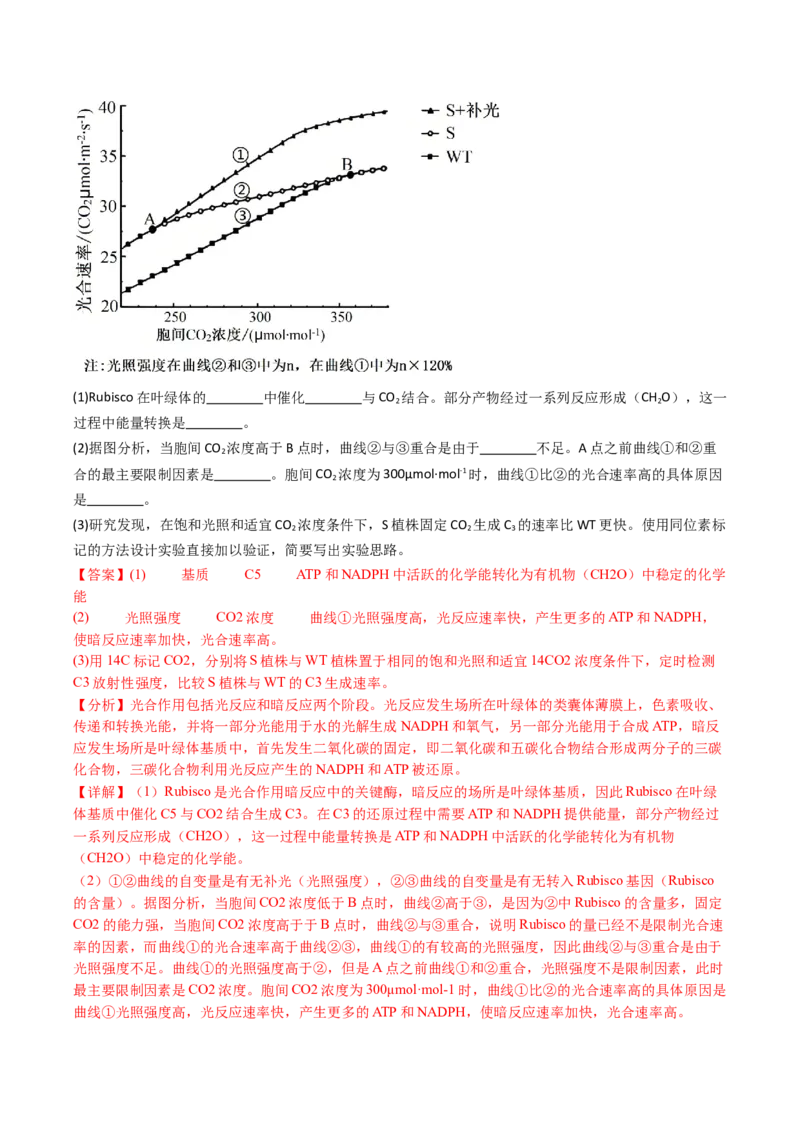 五年（2021-2025）全国高考生物真题分类汇编专题05细胞呼吸和光合作用（全国通用）（解析版）_高考真题分类汇编_高考生物真题分类汇编（全国通用）五年（2021-2025）