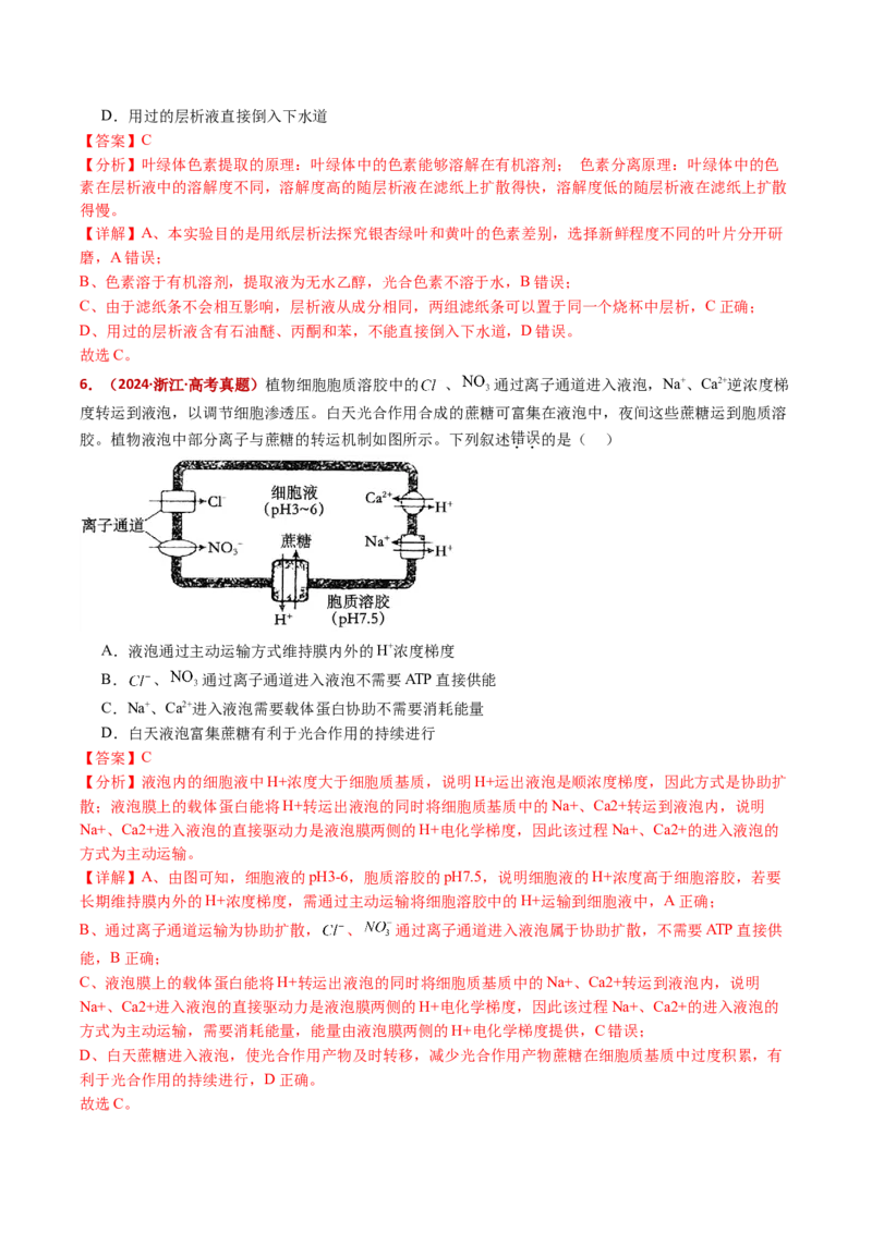 五年（2021-2025）全国高考生物真题分类汇编专题05细胞呼吸和光合作用（全国通用）（解析版）_高考真题分类汇编_高考生物真题分类汇编（全国通用）五年（2021-2025）