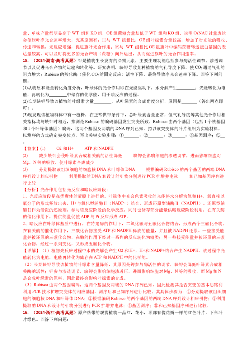 五年（2021-2025）全国高考生物真题分类汇编专题05细胞呼吸和光合作用（全国通用）（解析版）_高考真题分类汇编_高考生物真题分类汇编（全国通用）五年（2021-2025）