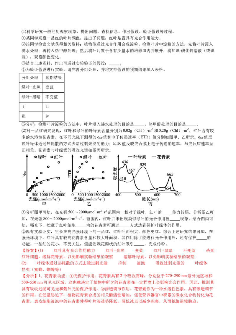 五年（2021-2025）全国高考生物真题分类汇编专题05细胞呼吸和光合作用（全国通用）（解析版）_高考真题分类汇编_高考生物真题分类汇编（全国通用）五年（2021-2025）
