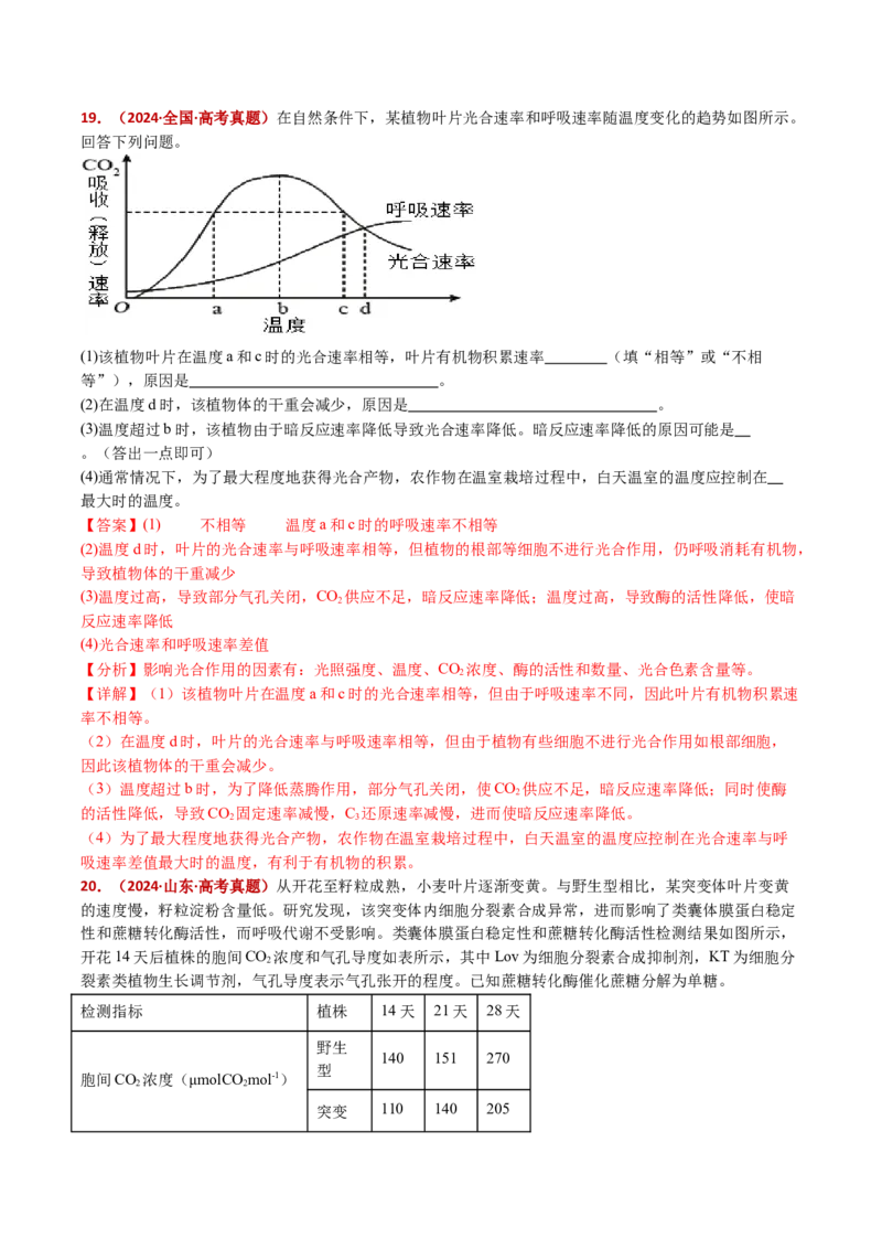 五年（2021-2025）全国高考生物真题分类汇编专题05细胞呼吸和光合作用（全国通用）（解析版）_高考真题分类汇编_高考生物真题分类汇编（全国通用）五年（2021-2025）
