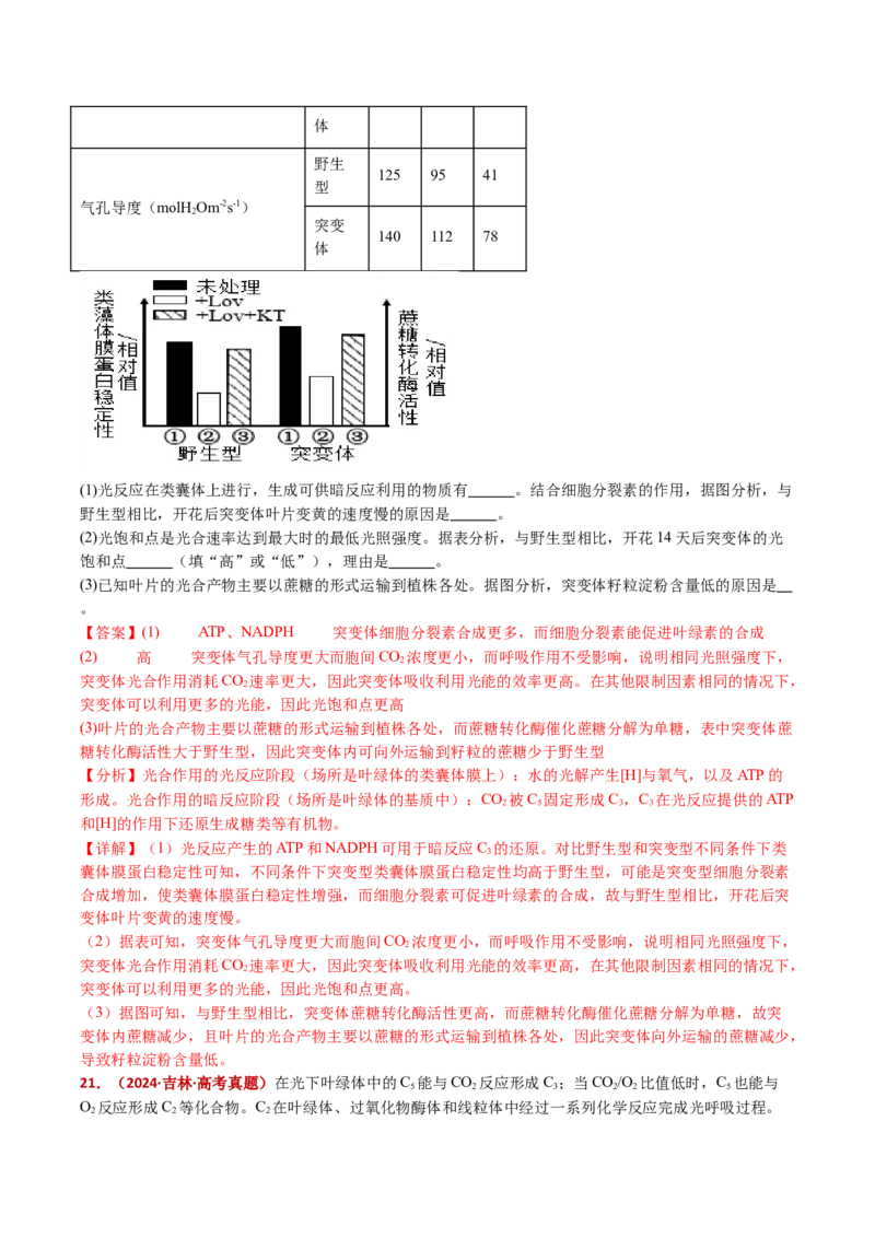 五年（2021-2025）全国高考生物真题分类汇编专题05细胞呼吸和光合作用（全国通用）（解析版）_高考真题分类汇编_高考生物真题分类汇编（全国通用）五年（2021-2025）