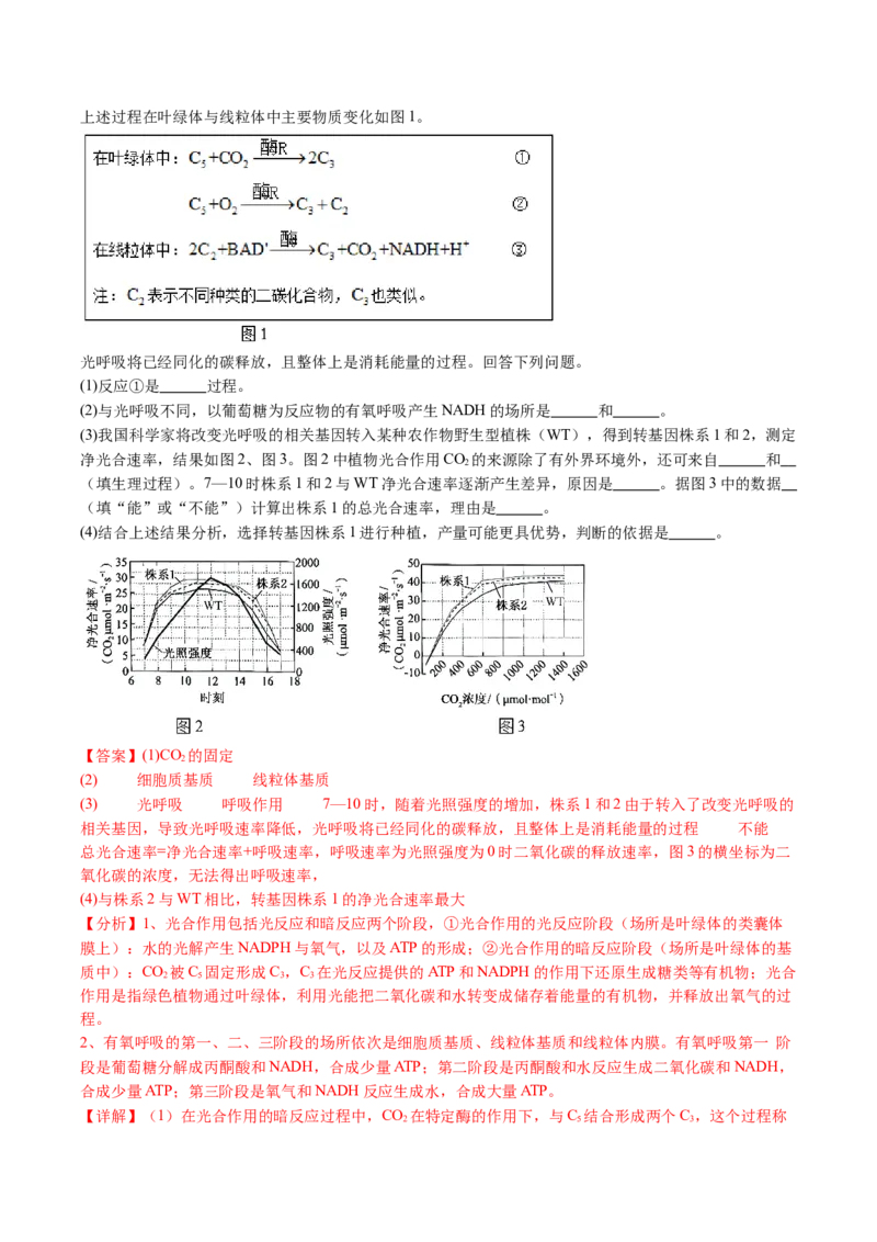 五年（2021-2025）全国高考生物真题分类汇编专题05细胞呼吸和光合作用（全国通用）（解析版）_高考真题分类汇编_高考生物真题分类汇编（全国通用）五年（2021-2025）