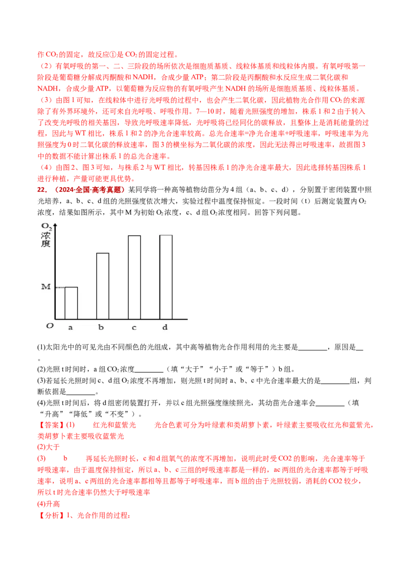 五年（2021-2025）全国高考生物真题分类汇编专题05细胞呼吸和光合作用（全国通用）（解析版）_高考真题分类汇编_高考生物真题分类汇编（全国通用）五年（2021-2025）
