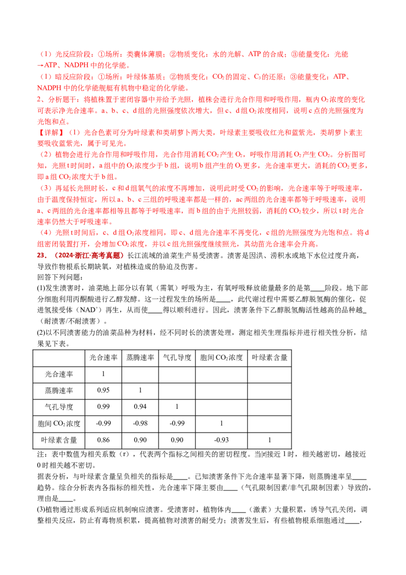 五年（2021-2025）全国高考生物真题分类汇编专题05细胞呼吸和光合作用（全国通用）（解析版）_高考真题分类汇编_高考生物真题分类汇编（全国通用）五年（2021-2025）