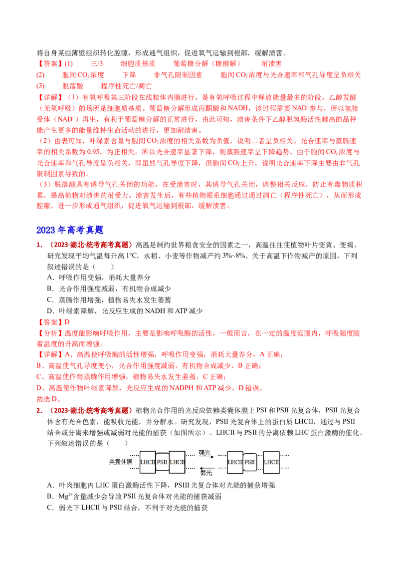 五年（2021-2025）全国高考生物真题分类汇编专题05细胞呼吸和光合作用（全国通用）（解析版）_高考真题分类汇编_高考生物真题分类汇编（全国通用）五年（2021-2025）