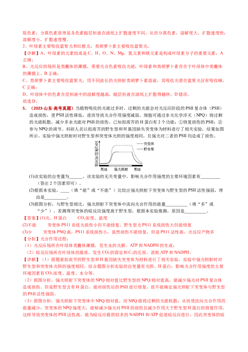 五年（2021-2025）全国高考生物真题分类汇编专题05细胞呼吸和光合作用（全国通用）（解析版）_高考真题分类汇编_高考生物真题分类汇编（全国通用）五年（2021-2025）