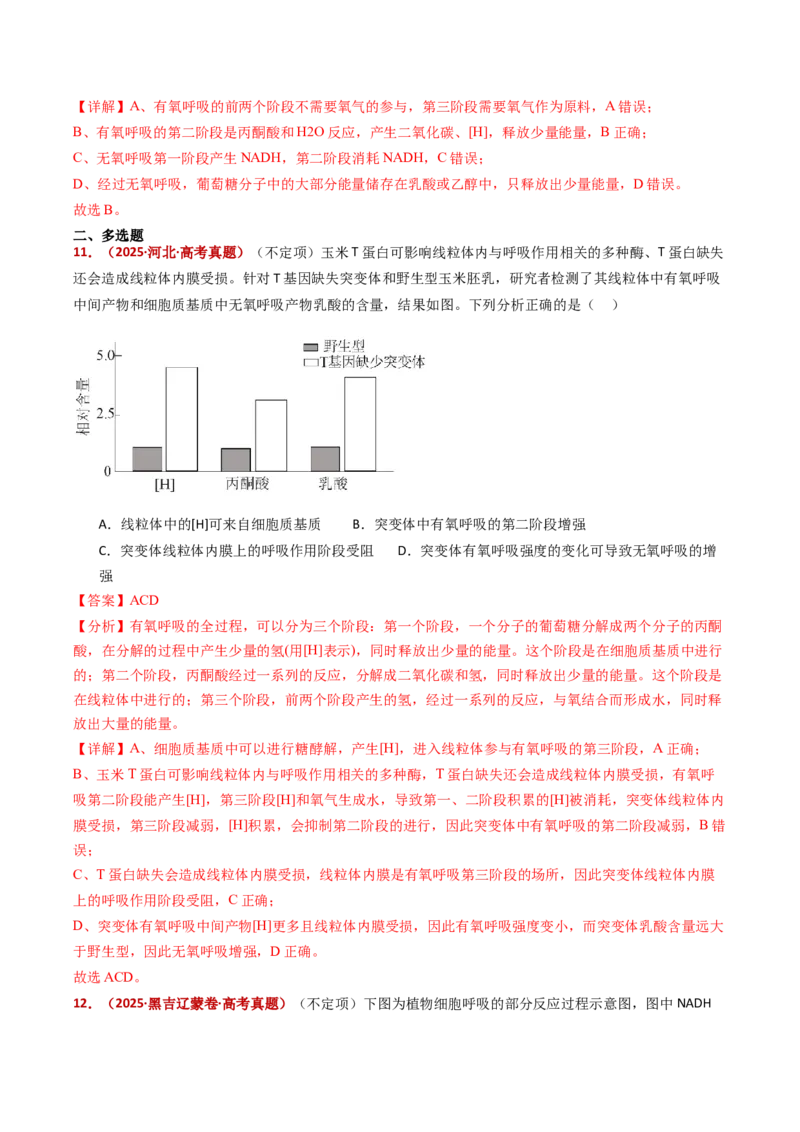 五年（2021-2025）全国高考生物真题分类汇编专题05细胞呼吸和光合作用（全国通用）（解析版）_高考真题分类汇编_高考生物真题分类汇编（全国通用）五年（2021-2025）