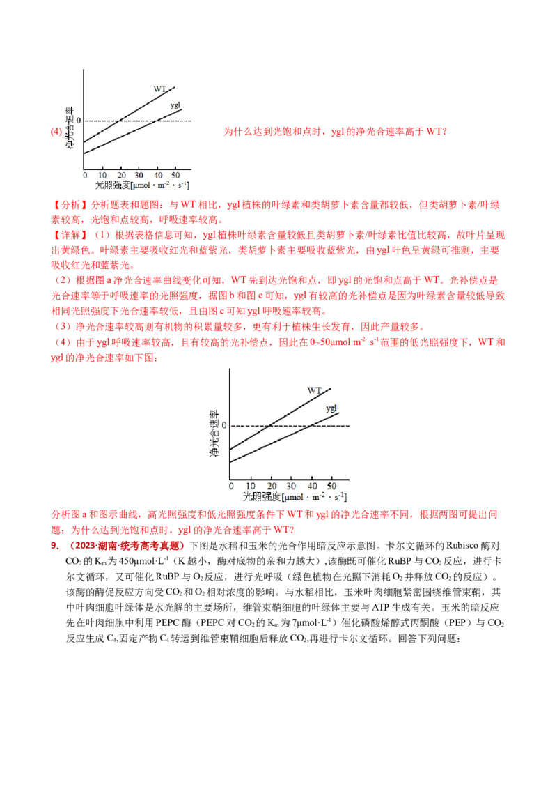 五年（2021-2025）全国高考生物真题分类汇编专题05细胞呼吸和光合作用（全国通用）（解析版）_高考真题分类汇编_高考生物真题分类汇编（全国通用）五年（2021-2025）