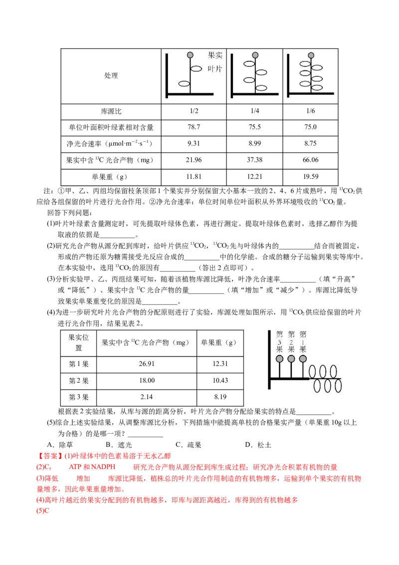 五年（2021-2025）全国高考生物真题分类汇编专题05细胞呼吸和光合作用（全国通用）（解析版）_高考真题分类汇编_高考生物真题分类汇编（全国通用）五年（2021-2025）