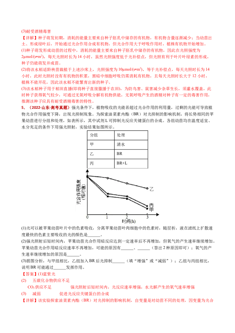 五年（2021-2025）全国高考生物真题分类汇编专题05细胞呼吸和光合作用（全国通用）（解析版）_高考真题分类汇编_高考生物真题分类汇编（全国通用）五年（2021-2025）
