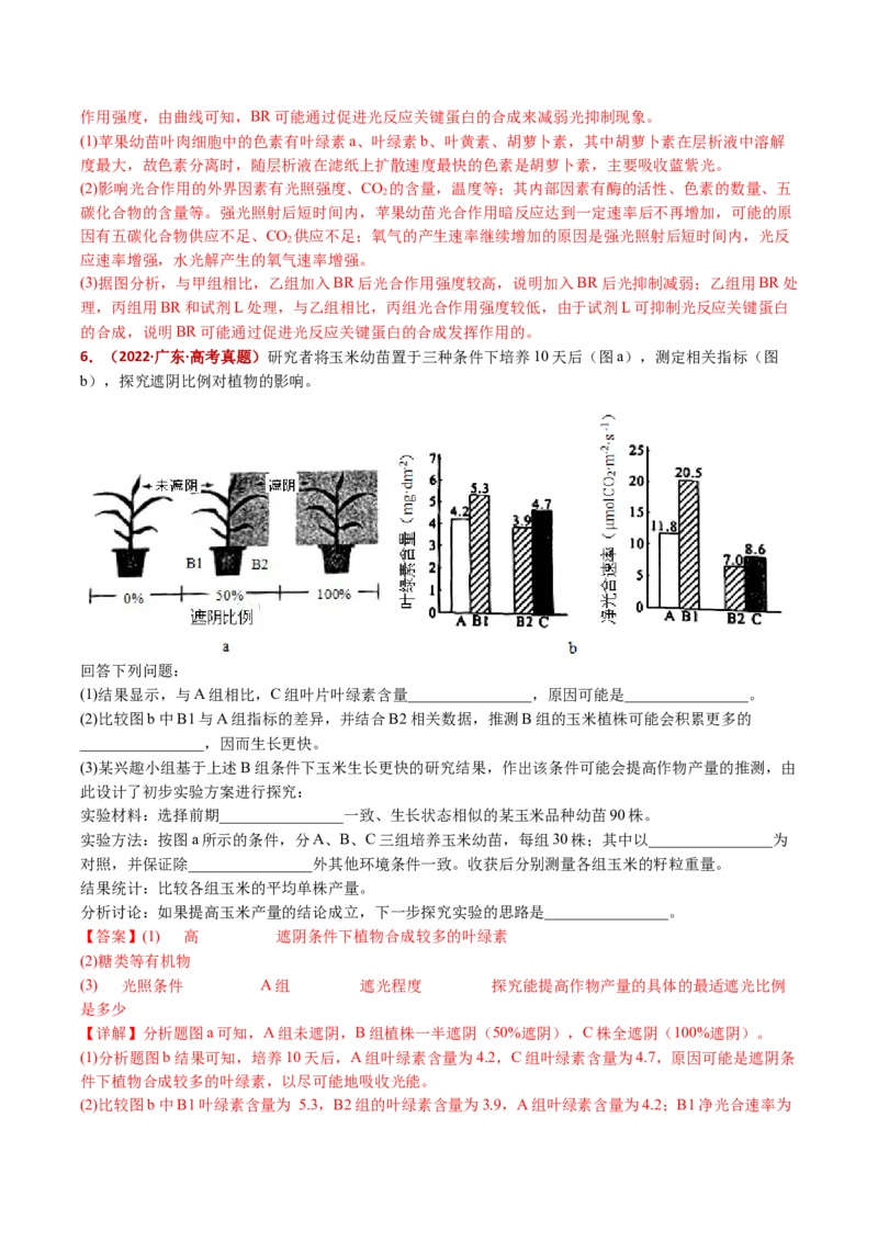五年（2021-2025）全国高考生物真题分类汇编专题05细胞呼吸和光合作用（全国通用）（解析版）_高考真题分类汇编_高考生物真题分类汇编（全国通用）五年（2021-2025）
