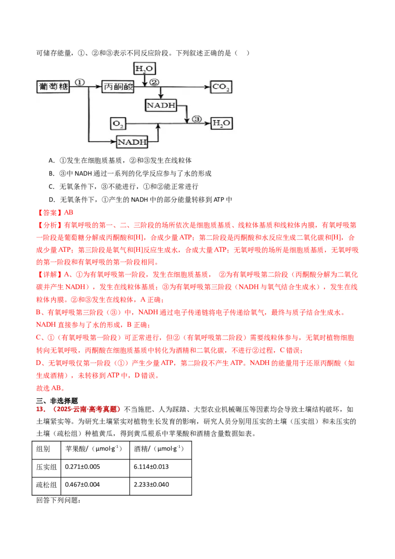 五年（2021-2025）全国高考生物真题分类汇编专题05细胞呼吸和光合作用（全国通用）（解析版）_高考真题分类汇编_高考生物真题分类汇编（全国通用）五年（2021-2025）